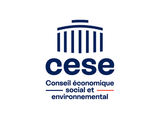 Conseil économique, social et environnemental