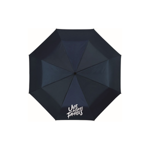 Lot de 10 parapluies 21,5"